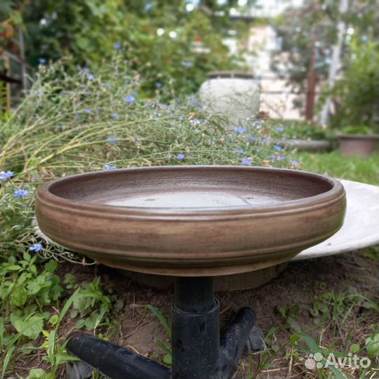 Плошка, поилка для птиц (суккулентница)