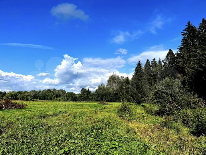 Участок 13,2 сот. (ИЖС)