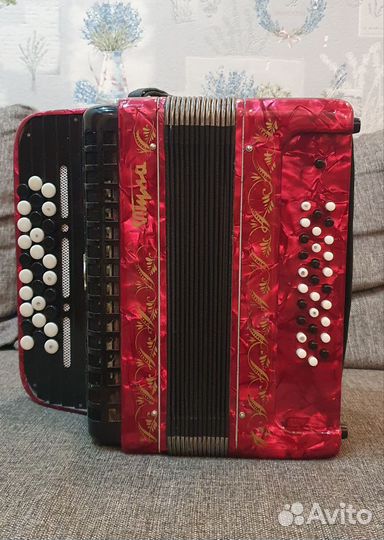 Баян Тула детский выборный