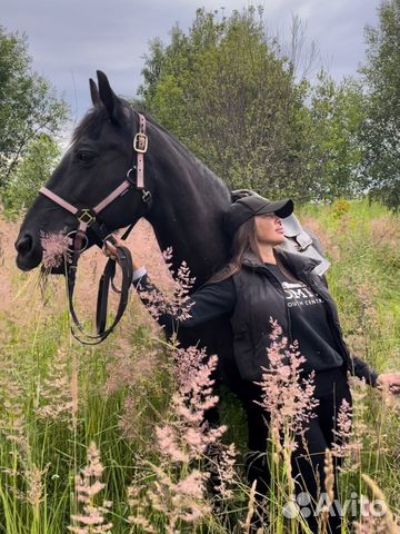 Конные прогулки Орёл