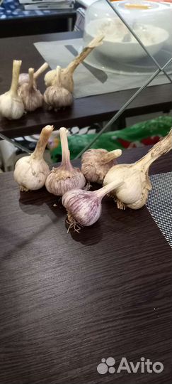 Чеснок