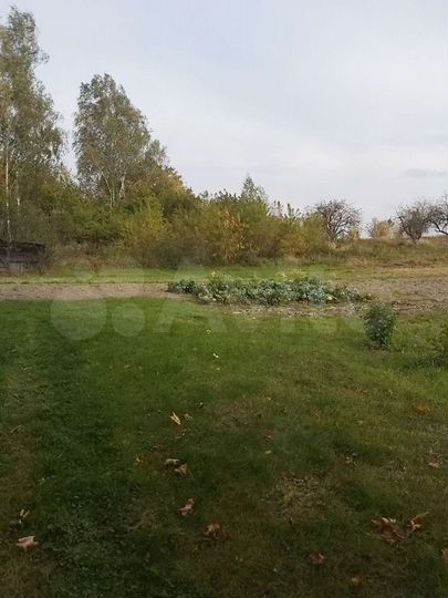 Дом 52 м² на участке 20 сот.