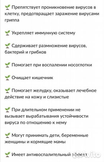 Ладанник Чай cistus incanus