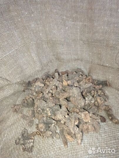 Корень калгана