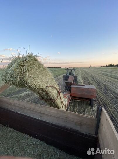 Сено и овес в тюках