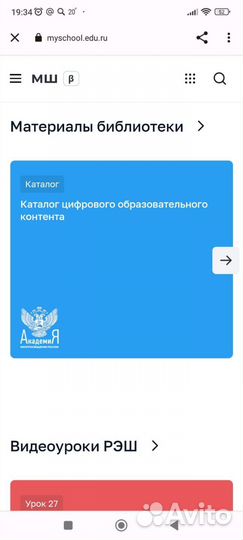 Хомячата (джунгарики)