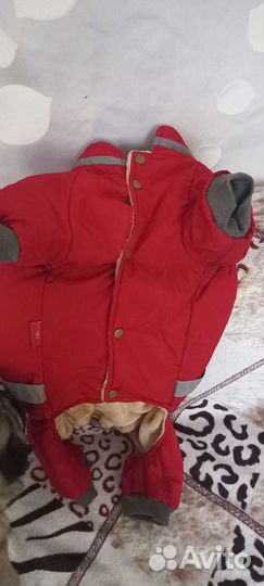 Комбинезон для маленькой собаки