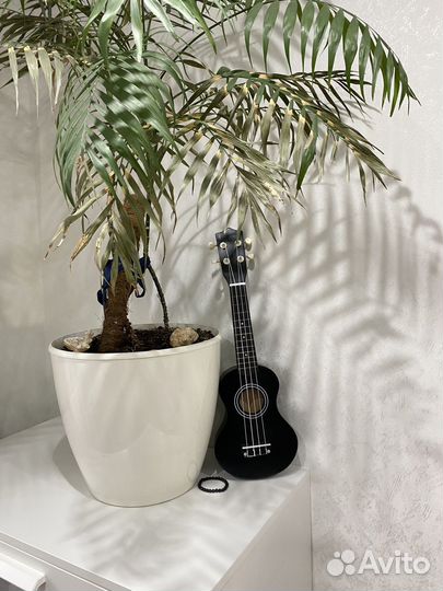 Укулеле черная