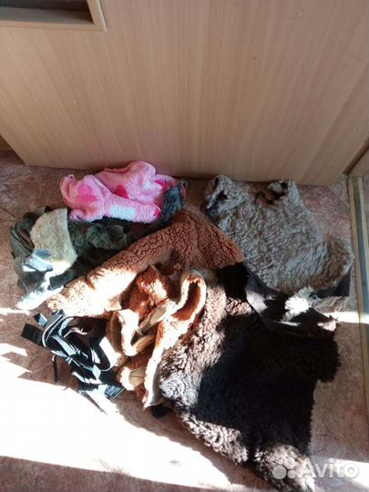 Куски овчины, цигейки, меха