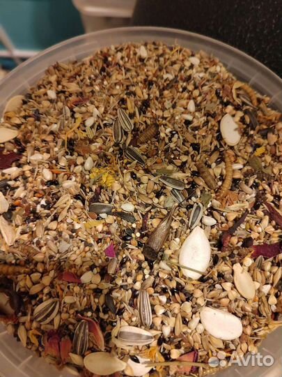 Мешанина для хомячков (зерносмесь) и венички