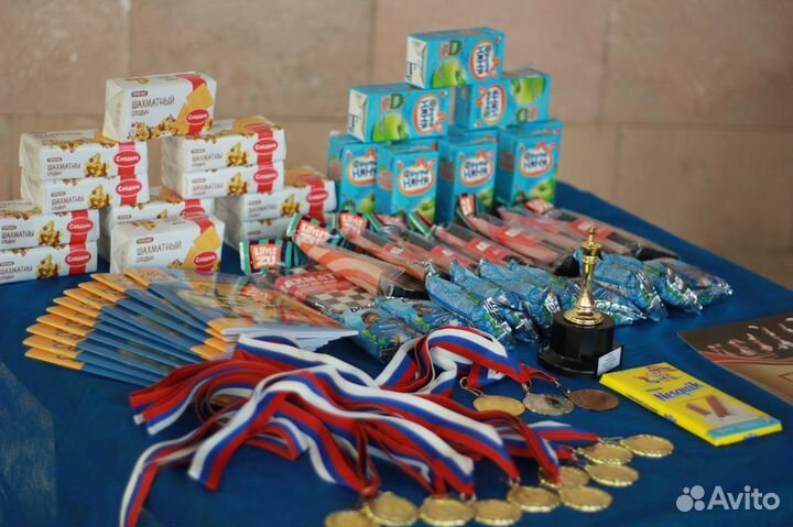 Занятия по шахматам