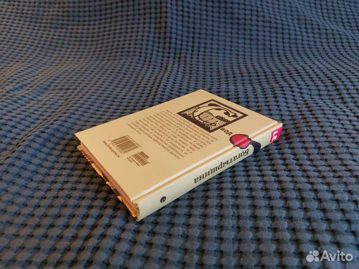 Богатырщина. Русские былины в пересказе Бояшова