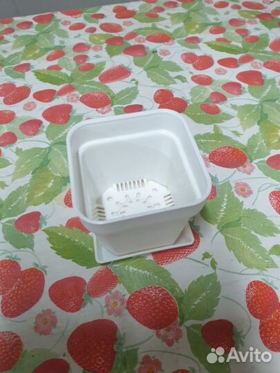 Горшочки для суккулентов