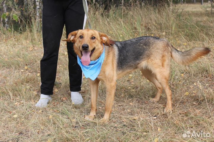 Баффи, несмотря на все пережитое, улыбается