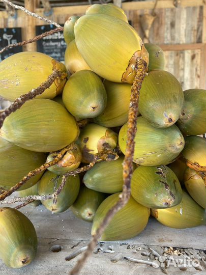 Туры на Мальдивы, отдых в райском месте