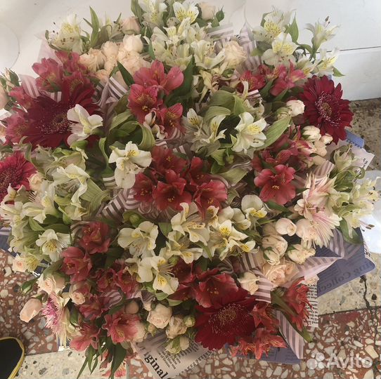 Альстромерии 101 штука