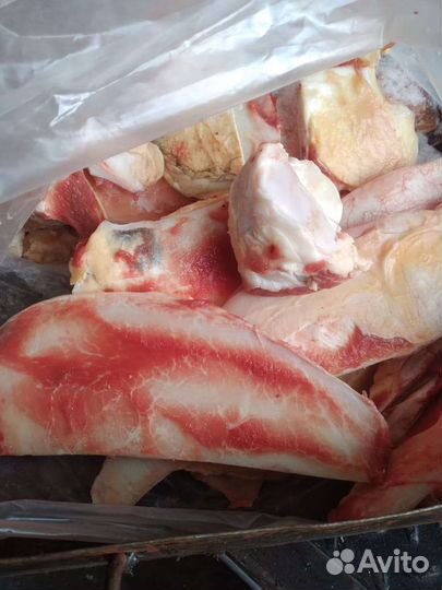 Хрящи говяжьи на корм животным