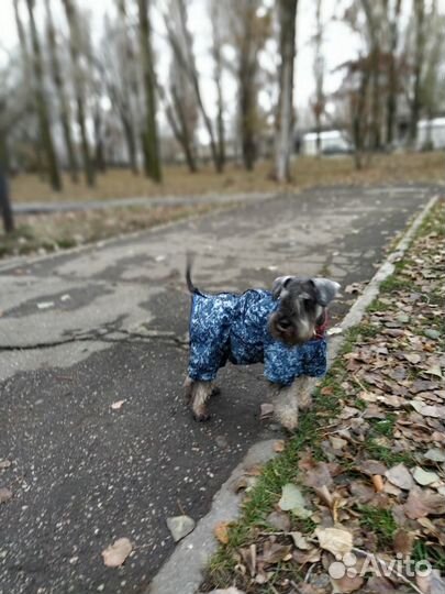 Вязка