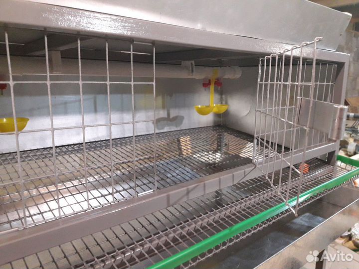 Клетка для перепелов