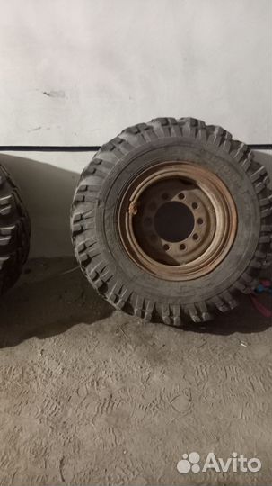 Колёса Урал лапопь