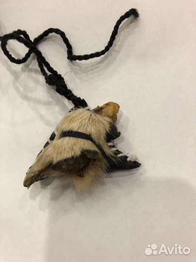 Когти и клыки волка