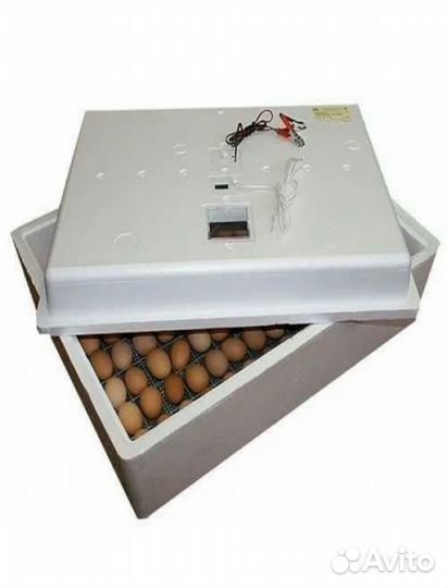 Инкубатор несушка