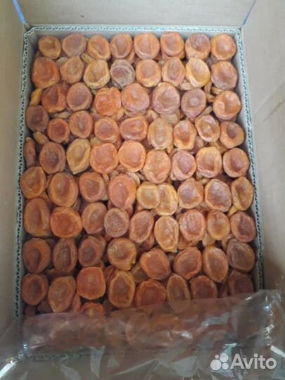 Курага новый урожай