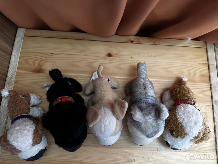 5 большеголовых собачек