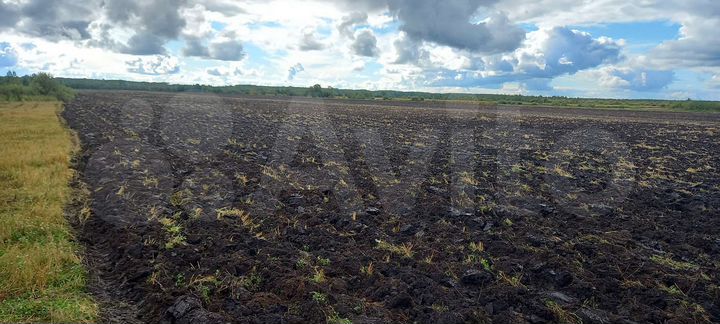 Участок 78 га (СНТ, ДНП)