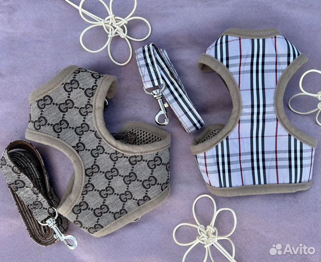 Брендовая шлейка для собак Gucci, Burberry+поводок