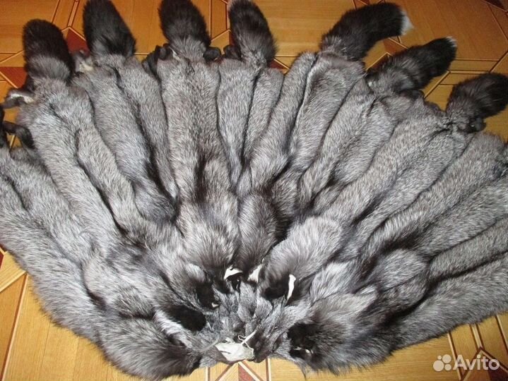Продам шкуры чернобурки, песец
