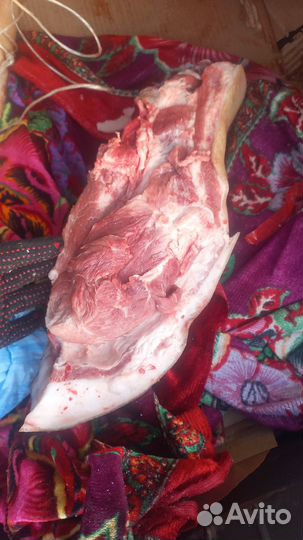 Сало,мясо ливер голова