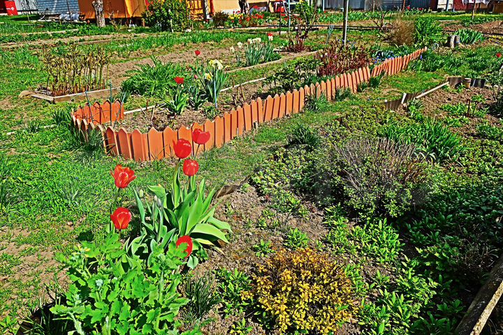 Дача 30 м² на участке 4,3 сот.