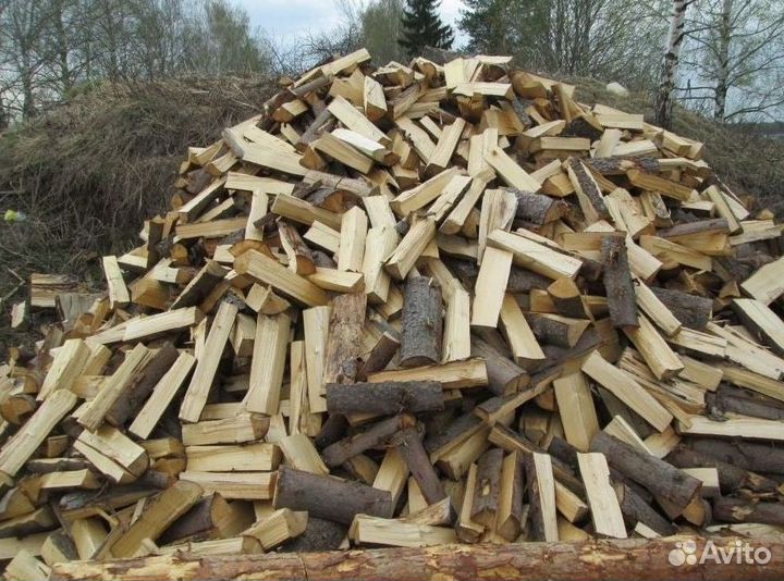 Дрова березовые колотые наличие