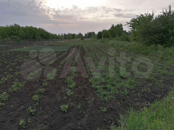 Участок 15 сот. (ИЖС)