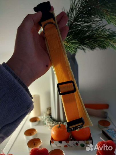 Амуниция для собак на заказ