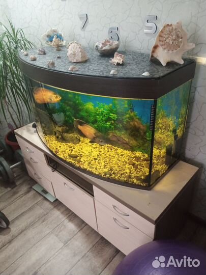 Аквариум с тумбой 300 литров