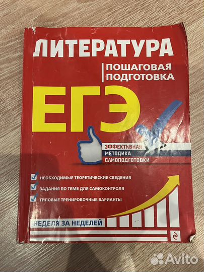 ЕГЭ литература