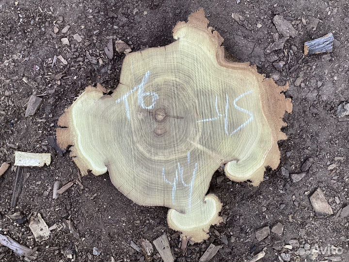 Срезы и спилы дерева