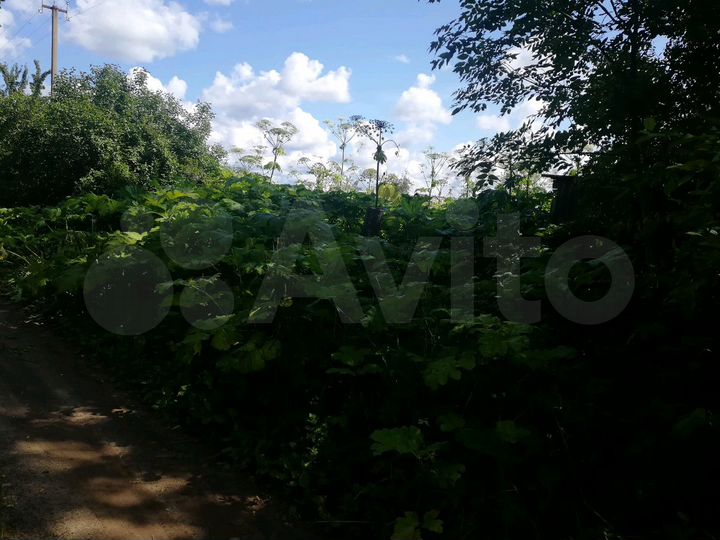 Участок 40 сот. (ИЖС)