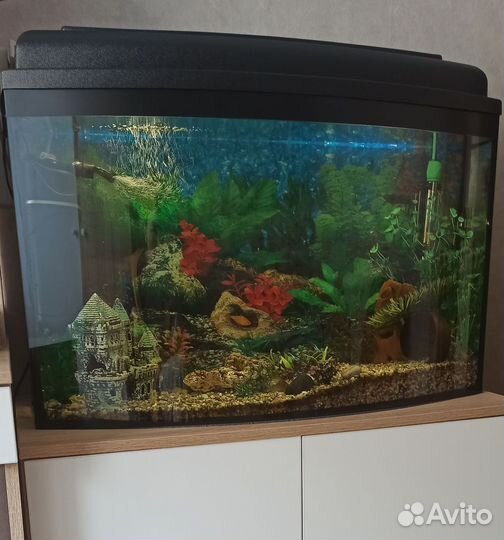 Аквариум