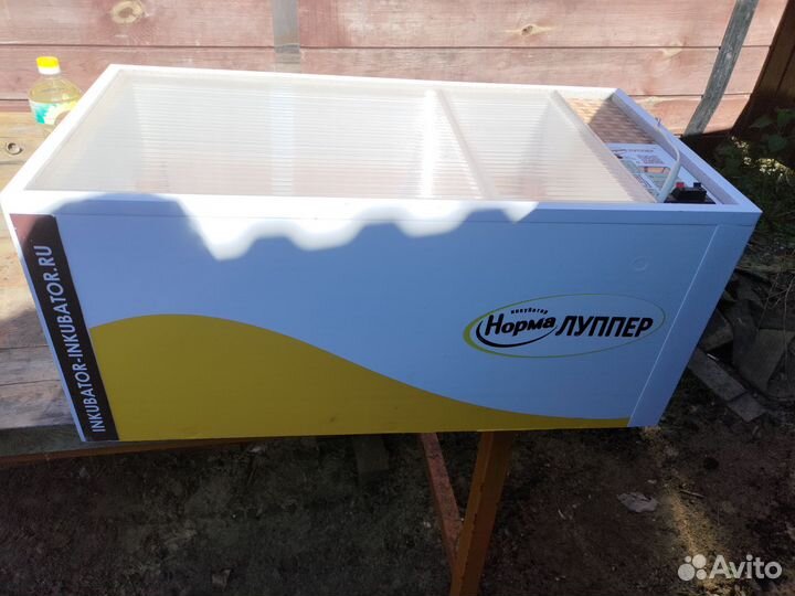 Инкубатор для яиц автоматический бу