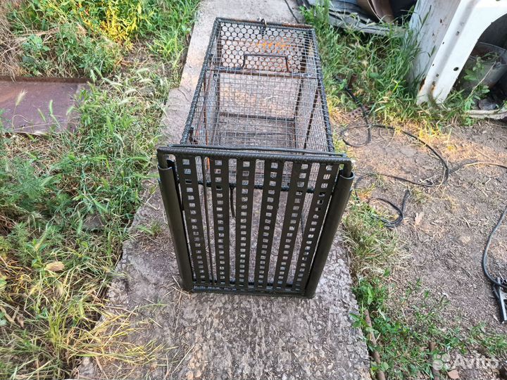 Аренда живоловушки