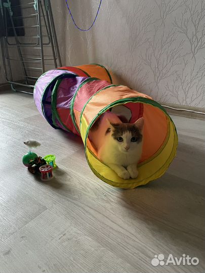 Игровой тоннель для кошек
