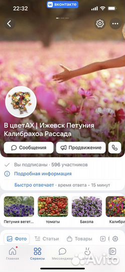 Пилея монетолистная