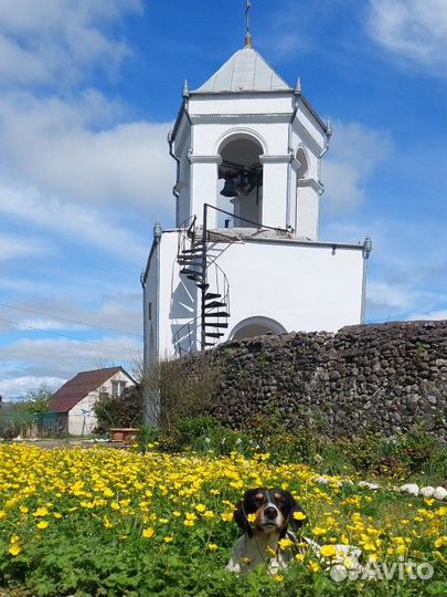 Исцеляющий тур души Абхазия