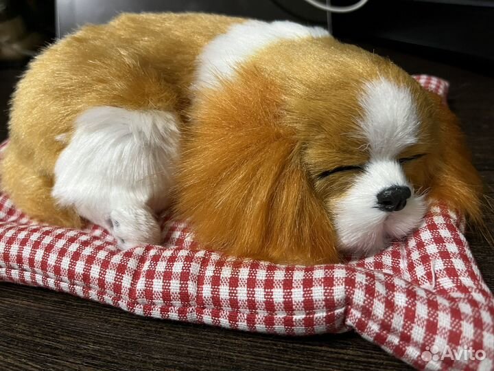 Собака игрушка