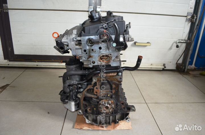 Двигатель двс 2.0 TDI BKD Passat B6 Touran Golf 5