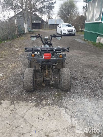 Wels125 ladoga