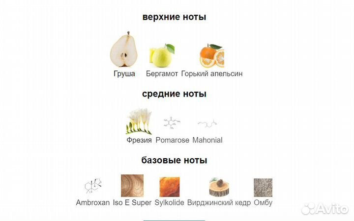 Versace Pour Femme Dylan Purple